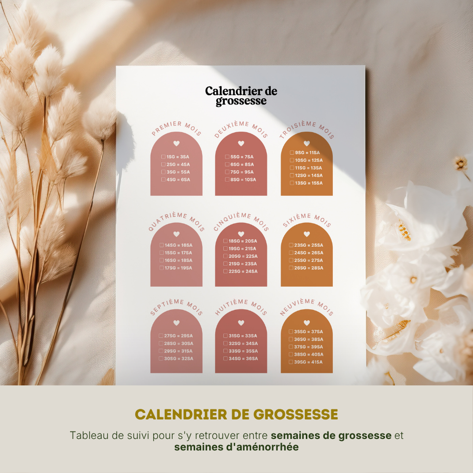 Pack grossesse n°1 - S'organiser