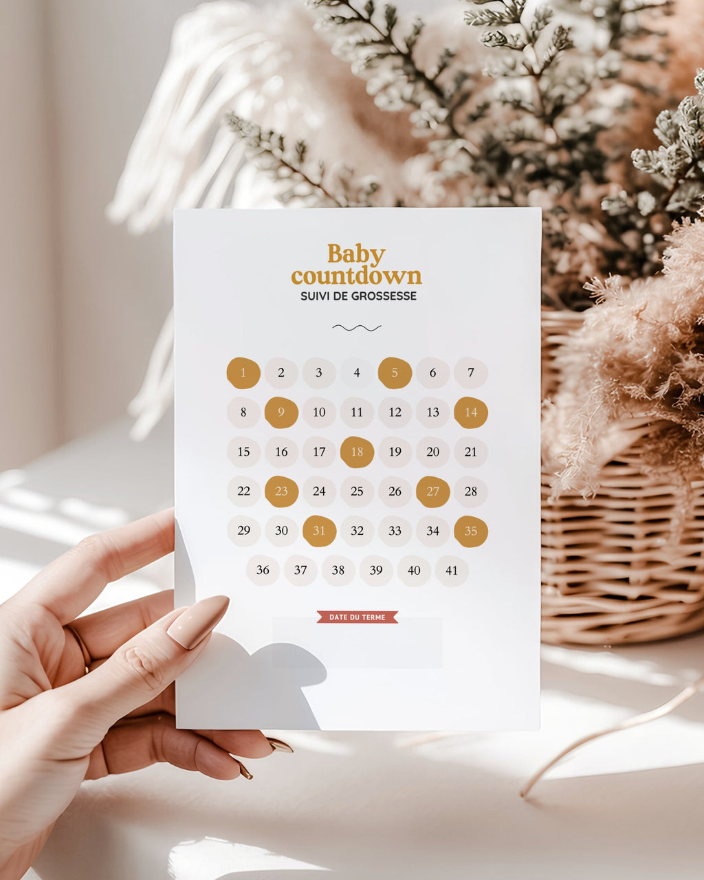 Calendrier de grossesse