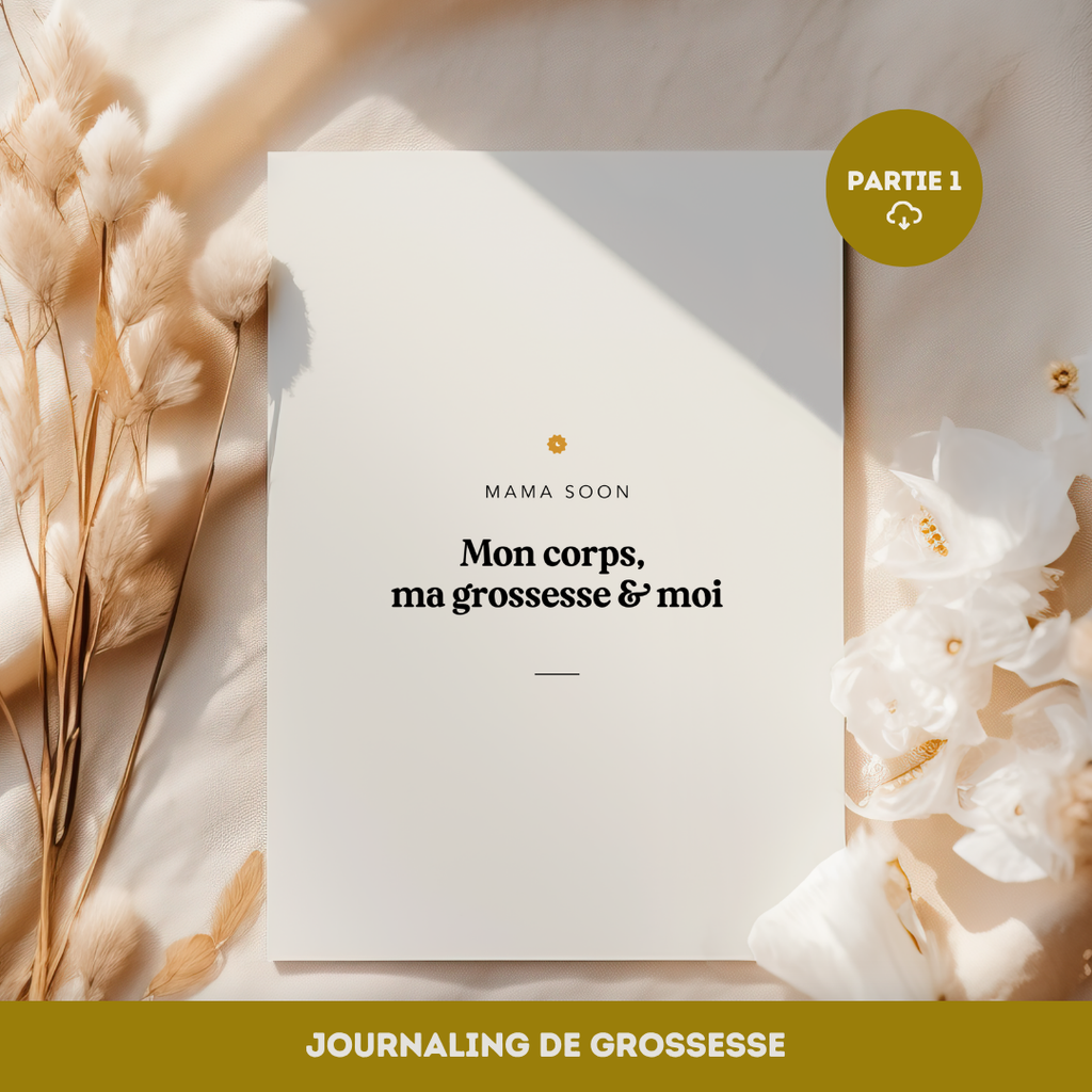Journaling Partie 1 - Mon corps, ma grossesse et moi
