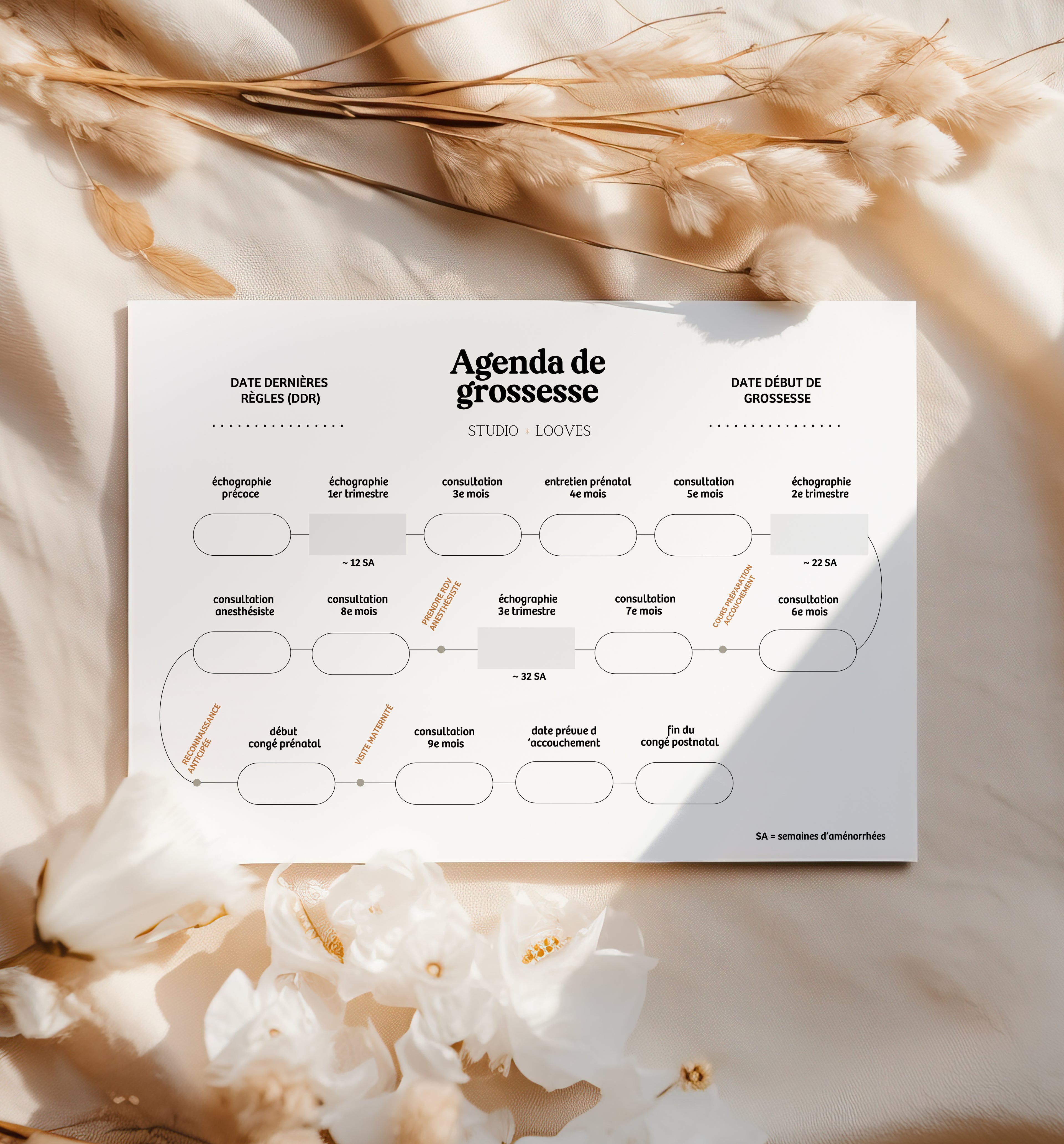 Agenda de grossesse